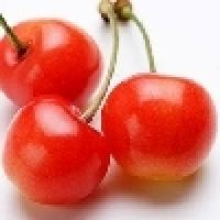 SAKURANBO CHANNEL