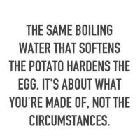 PatrioticPaulaInTexas