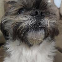 Marcos
