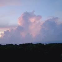 Maria M