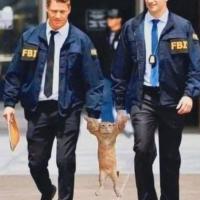 Walter M Sawn III