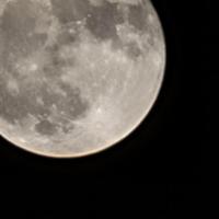 Brad carpenter