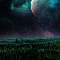 Jason Green