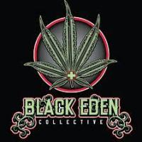 Mick Sun