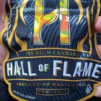 CALI HALLOFFLAME420