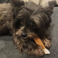 Ellie
