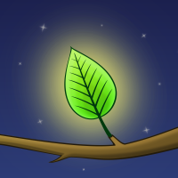 Light