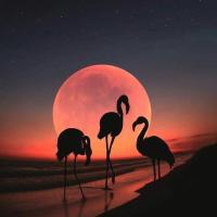 Cathy Golladay