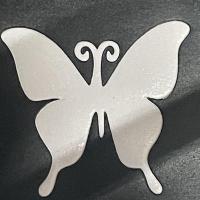 raychel torez