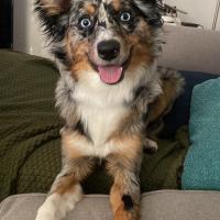 Joey Juicebox