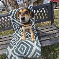 MaryFlanagan