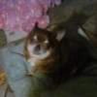 Raymond Mokrzycki