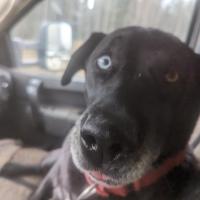 roger arsenault
