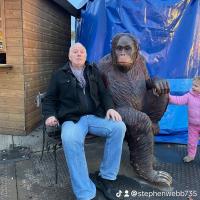 Stephen webb