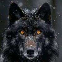 Titan 12