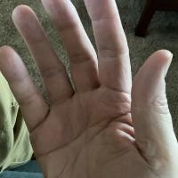Stephen Donovan