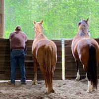 Pam Hunter