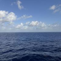 David Jones