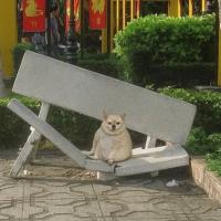 Dewayne Hameline