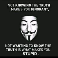 AJ Paulsen