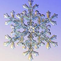 Nicholas K Ricchiuti