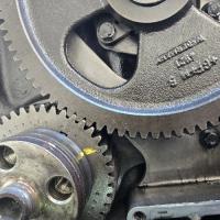 Gary Geer