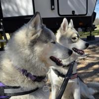 Tammy LaPlante