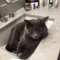 Nico