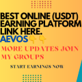 Cryptocurrency USDT (Binance) Investment And Earnings Platform