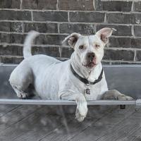 Tim