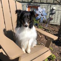 Margaret Parnitzke Leach