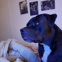 DeAnna  Duncan