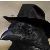 Jack Crow LaRizzio