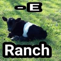 Bar E Ranch