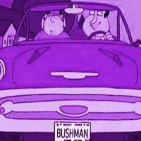 Bill Bushman