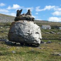 Kevin Inisheer