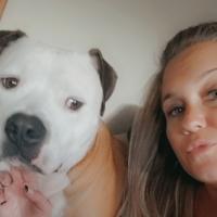 Jodi Bruno