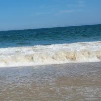 Sandra Yetsko