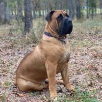 Rita