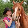 DreamCatchers Equine Rescue