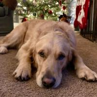 J welch