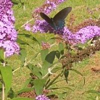 Just me