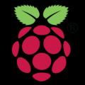 Raspberry pi