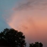 Kallyn Rievens