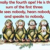 Terry Mermer