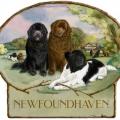 Newfoundhaven Rescue & Hospice