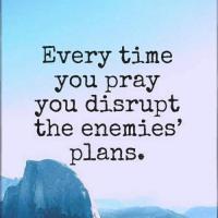 Kimberly C Pelletier