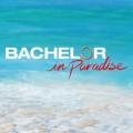 Bachelor in Paradise On ABC Network