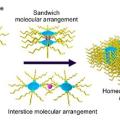 Nano Construct Substantiation Documents