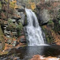 Traci Rutter